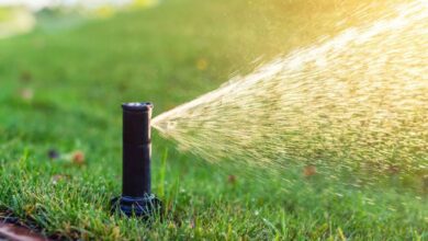 Water conservation Sod Solutions