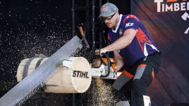 Stihl chain saw