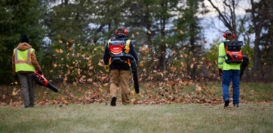 Echo Team with Leafblowers