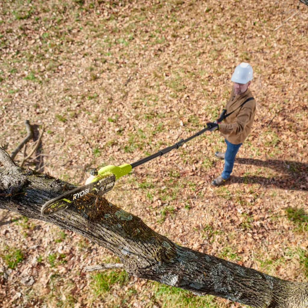 Ryobi Pole Saw