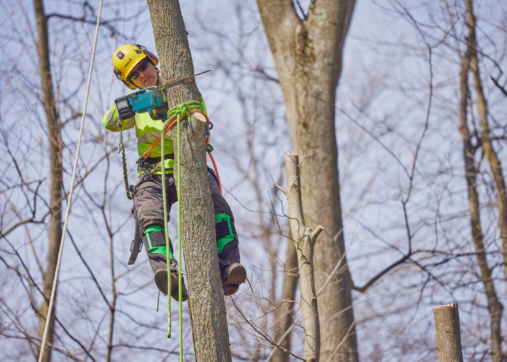 Tree Care Operations